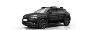 C4 Cactus